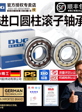 德国DUG进口轴承N RN405 406 407 408 409 410 411 411 412EM P5