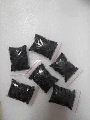 散装四川龙葵果龙葵果干货中药材