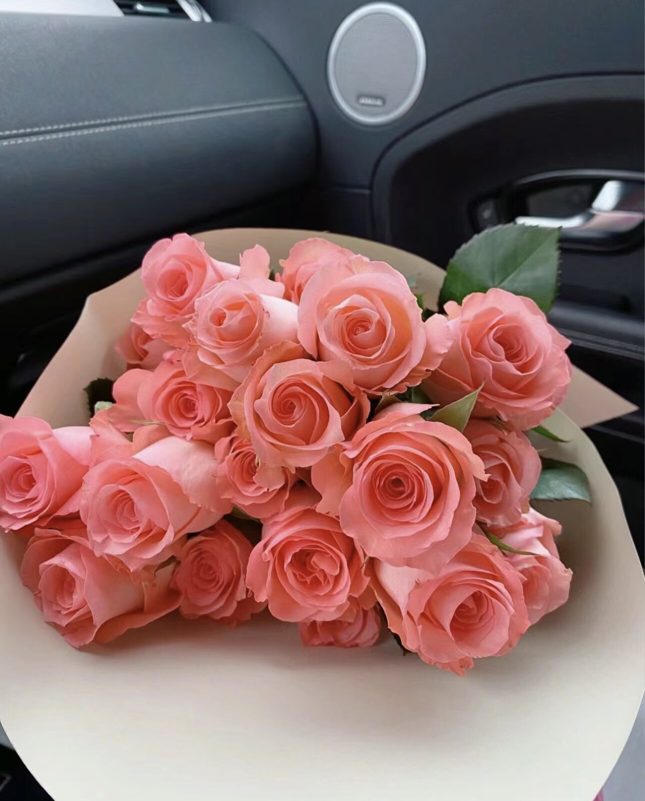 戴安娜 月季玫瑰苗切花四季粉色多头淡香庭院阳台盆栽花卉月季