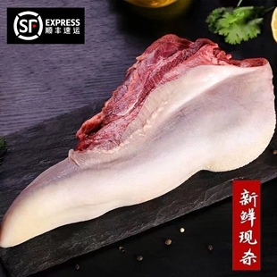 草饲牛舌头鲜冻精修无根牛口条新鲜冷冻牛舌烧烤火锅铁板