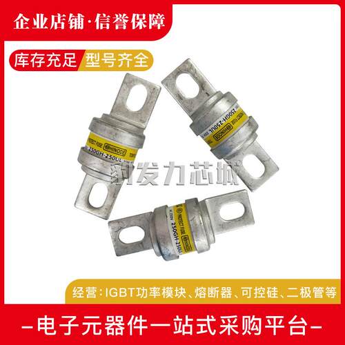 250GH-200UL 250GH-250UL 250GH-315UL快速熔断器 保险丝现货