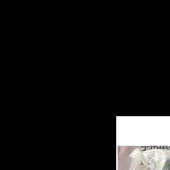 适用于 迅达电梯配件轿厢限速器钢丝绳3节，2节链接件,搬运/仓储/物流设备,梯子,淘宝优惠券,粉丝福利购,淘宝优惠卷