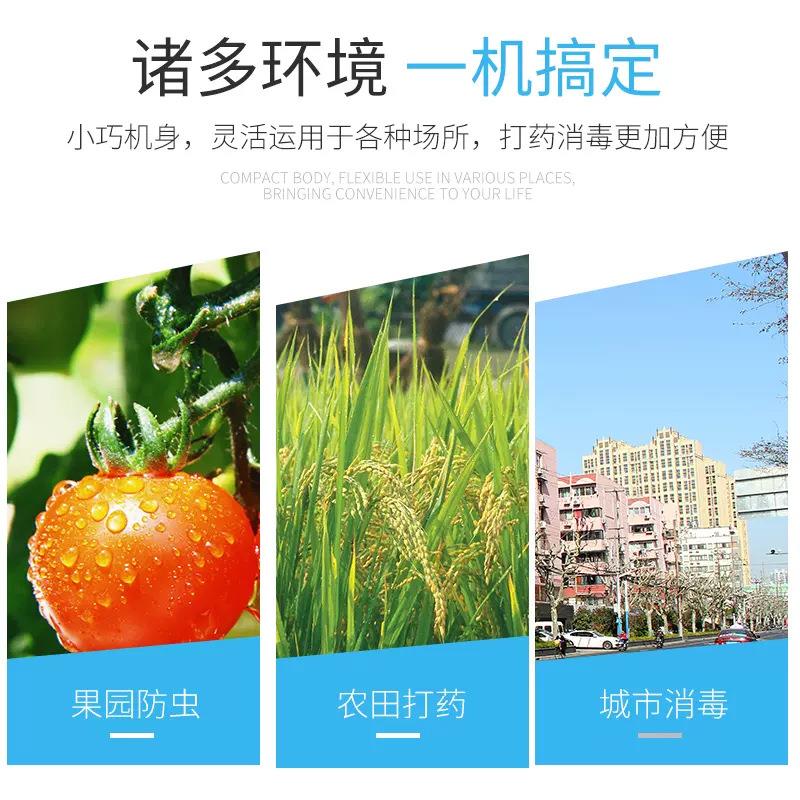 电动220V电压喷雾器/农用机动高压喷雾器/园林打药机/手提式喷雾