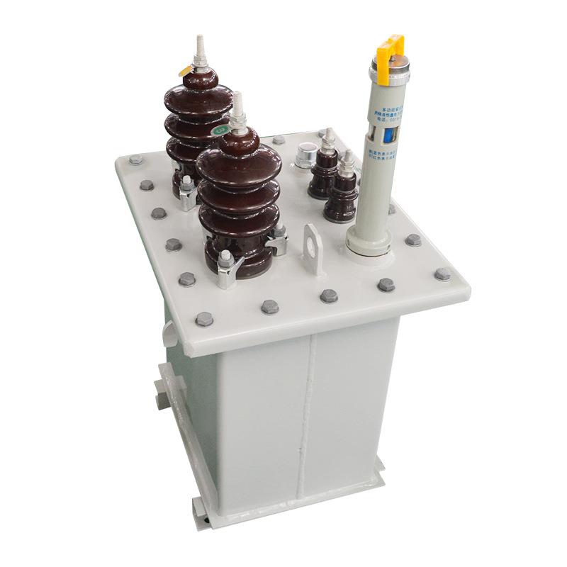 10kvD11单相油浸式电力变压器250/400杆上高低压配电变压器 63kva