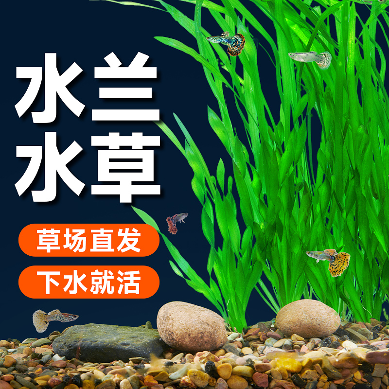 收藏+加购=优先发货！已有1.1W人种草啦！
