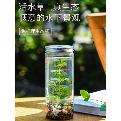 收藏+加购=优先发货！已有1.1W人种草啦！