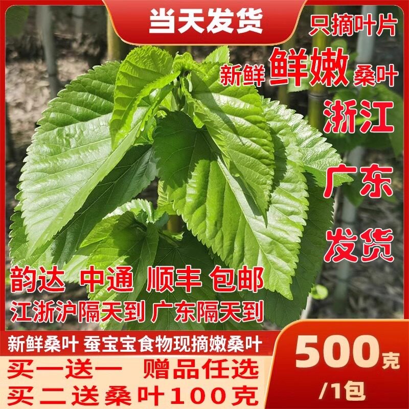 收藏+加购=优先发货！已有1.1W人种草啦！