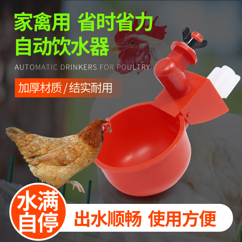 雏鸡自动饮水器鸭鹅鹌鹑自动饮水碗杯全自动喂水鸡用养殖设备鸡场