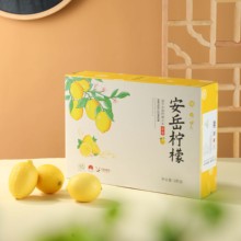 【火蝠电商】淘宝天猫整店代运营托管直通车推广店铺设计网店托管