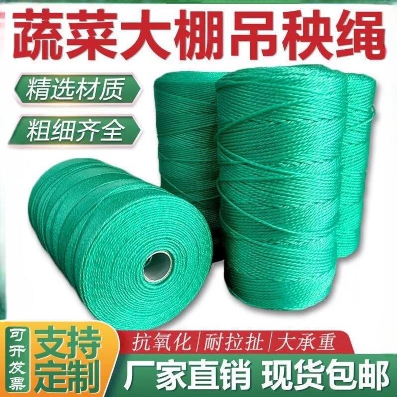 吊秧绳黄瓜西红柿蔬菜大棚吊蔓绳尼龙绳耐磨农用抗老化吊绳塑料绳