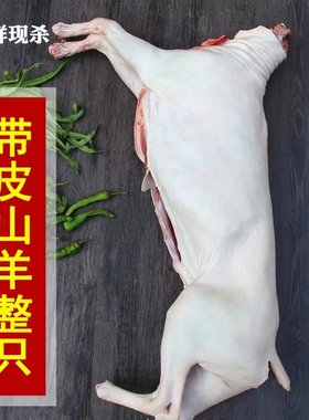 新鲜带皮山羊肉整只羊