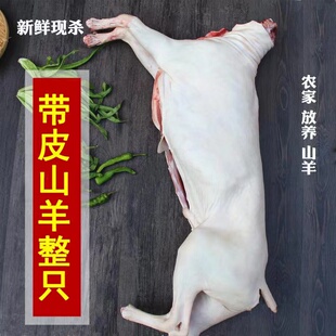 新鲜冷冻整只带皮山羊肉绵羊40斤白条羊散养半只羊排羊脖子羊腿肉