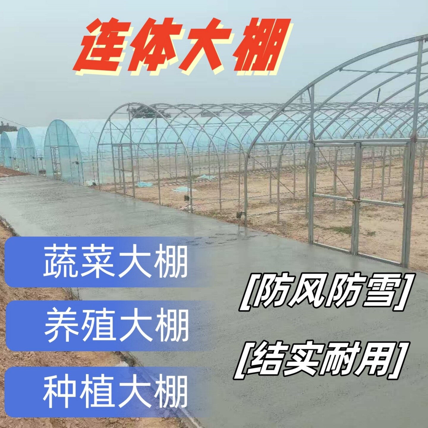 牛羊暖棚包塑钢管拱棚种植蔬菜棚热镀锌管养猪鸡大棚骨架椭圆管