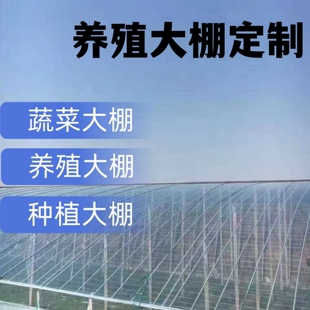 种植热镀锌管大棚骨架香菇水产棚仓库养鸡暖棚拱棚养猪羊椭圆管