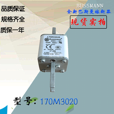 全新现货直销170M3020巴斯曼熔断器170M3021电子保险丝170M3022