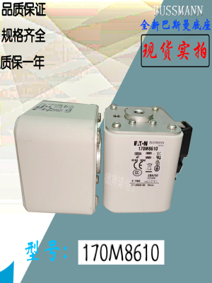 BUSSMANN170M8641保险丝熔断器
