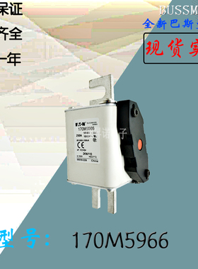 170M5966全新热卖供应巴斯曼熔断器170M5967库存现货直销170M5968