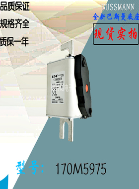 170M5972全新热卖供应巴斯曼熔断器170M5973电子保险丝170M5974