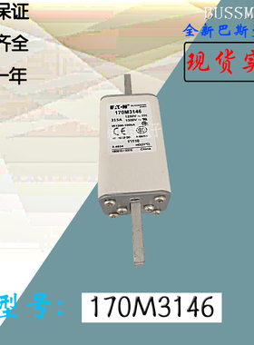 170M3138全新热卖供应巴斯曼熔断器170M3139库存现货直销170M3140
