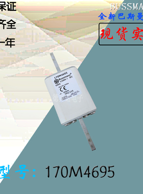 170M3673全新热卖供应巴斯曼熔断器170M4658库存现货直销170M4659