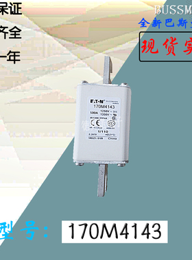 170M4164全新热卖供应巴斯曼熔断器170M4165电子保险丝170M4166