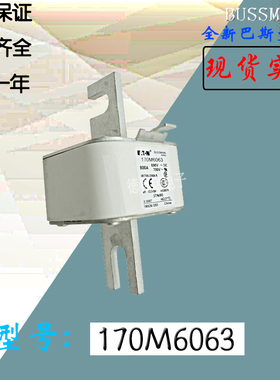 170M3108全新热卖巴斯曼熔断器保险丝170M6020现货直销170M6021
