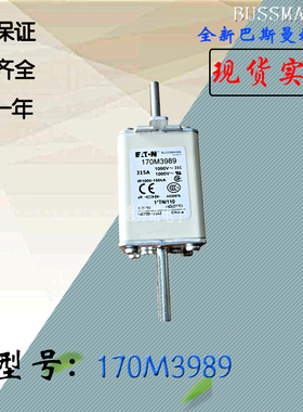 170M3971全新热卖供应巴斯曼熔断器170M3972库存现货直销170M3973