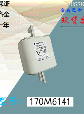 170M6141全新热卖巴斯曼熔断器保险丝170M6142电子现货170M6143
