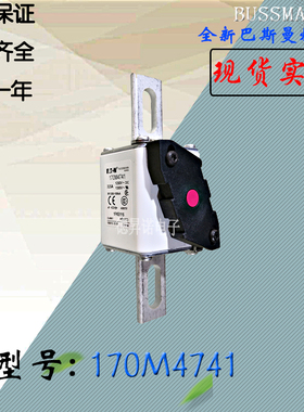170M4740全新热卖供应巴斯曼熔断器170M4741电子保险丝170M4742