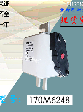 全新原装热卖170M6214巴斯曼熔断器170M6215电子保险丝170M6216