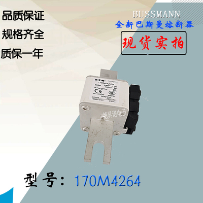170M3223全新热卖供应巴斯曼熔断器170M4208电子保险丝170M4209