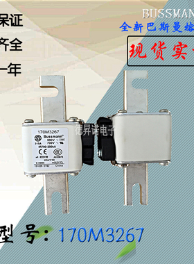 全新热卖170M3261电子巴斯曼熔断器170M3262库存现货直销170M3263