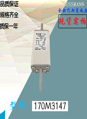 170M3168全新热卖供应巴斯曼熔断器170M3169库存现货直销170M3170