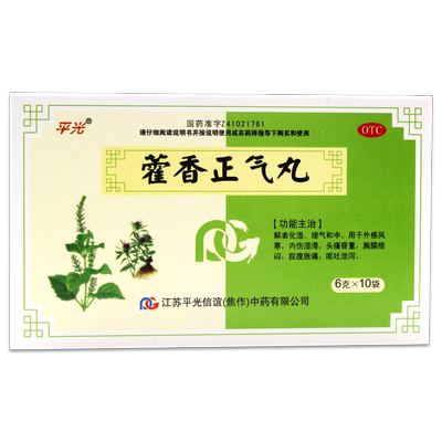 【平光】藿香正气丸6g*10袋/盒呕吐腹胀