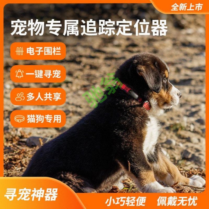 宠物电话手表自动接听防丢GPS项圈定位追踪器4G狗狗猫咪防走失