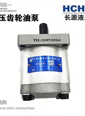 合肥长源齿轮油泵CBW-F304/306/310-AFPL/CKLPL/ALP/CLP高压液压