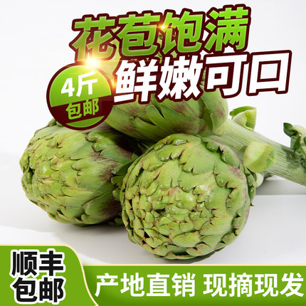 云南朝鲜蓟新鲜洋蓟农产品蔬菜产地顺丰包邮2斤包邮