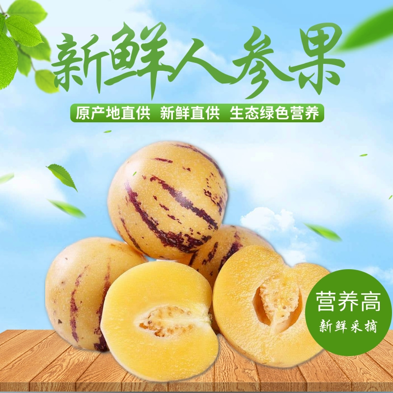 5斤树上熟现货速发石林人参果