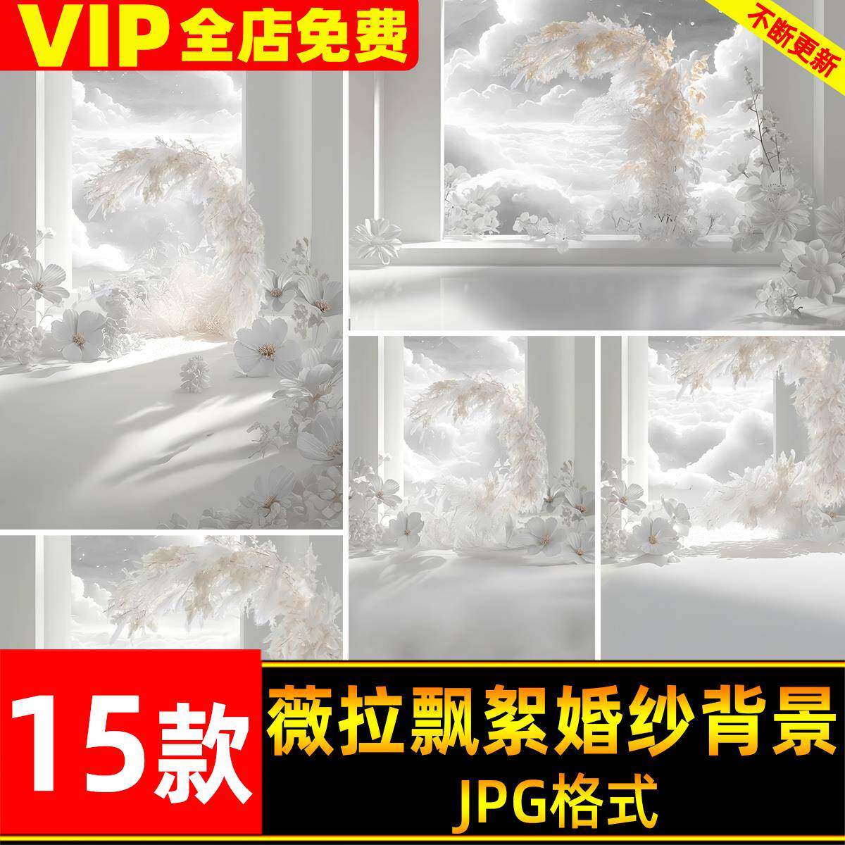 华丽浪漫高级薇拉飘絮羽毛光影婚纱照背景图后期修图合成素材JPG