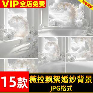 华丽浪漫高级薇拉飘絮羽毛光影婚纱照背景图后期修图合成素材JPG