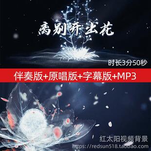 离别开出花歌曲伴奏音频MP3表演舞台舞蹈大屏幕LED背景视频素材