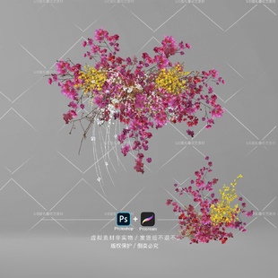 H001三角玫花艺效果图玫红粉色小众婚礼素材订婚PSD手绘Procreate