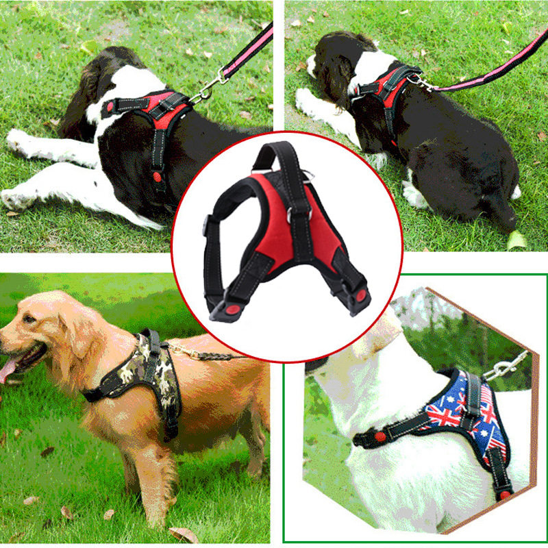 狗狗胸背带遛狗绳背心式牵引绳项圈狗绳柯基泰迪柴犬幼犬宠物用品