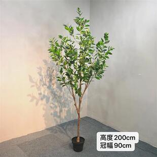 高仿真球形月桂树盆栽室内家居桂花树摆件假绿植盆栽造景拍摄道具