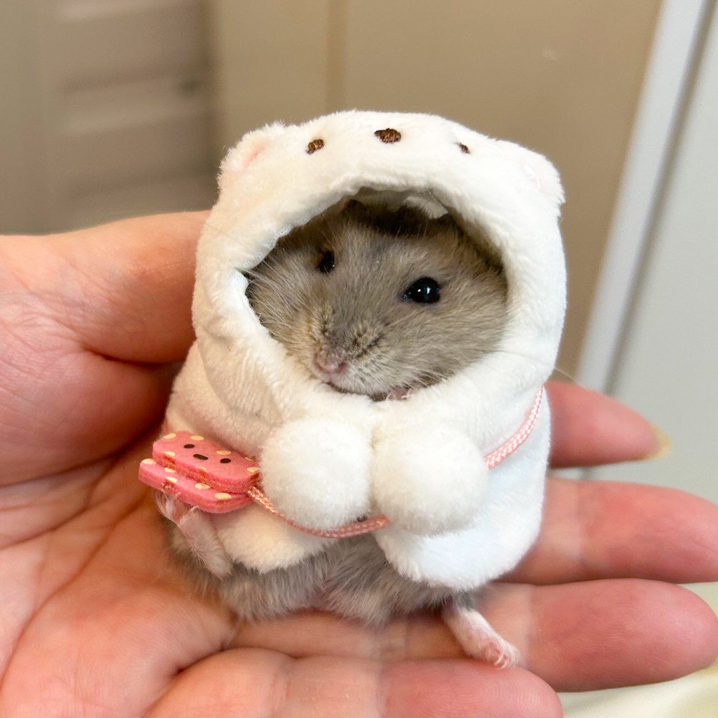 仓鼠迷你小衣服仓鼠可爱衣服冬季保暖披风金丝熊花枝鼠小宠物小鼠