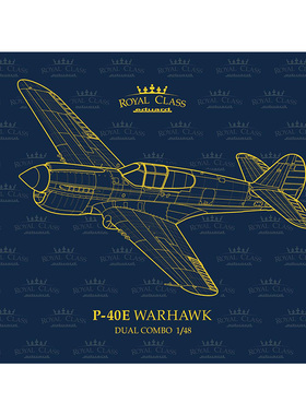 天易模型 牛魔王/Eduard R0023 P-40E Warhawk 皇家版 双机 1/48