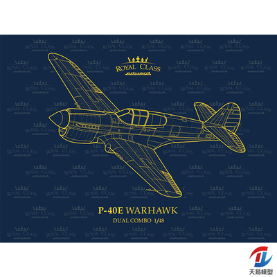 天易模型 牛魔王/Eduard R0023 P-40E Warhawk 皇家版 双机 1/48