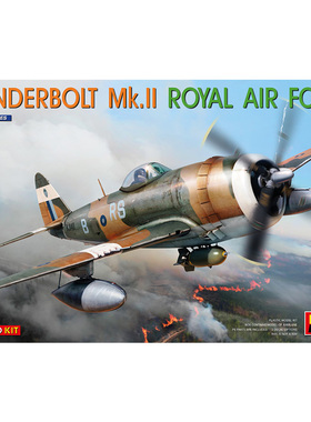 天易模型 MINIART 48012 1/48 雷电 Mk.II 英国皇家空军带蚀刻件