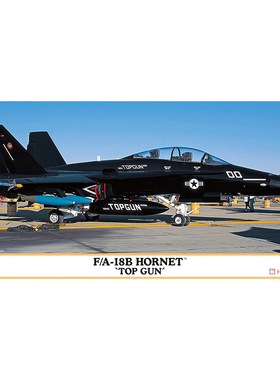 天易模型 长谷川 1/72 F/A-18B 大黄蜂 
