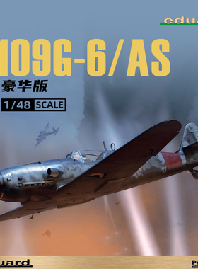 天易模型 牛魔王拼装飞机 82163 109G-6/AS 豪华版 1/48